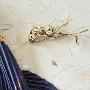 Kaplan Broş Fular Kombin