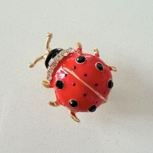 Uğur Böceği Broş