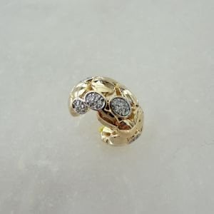 Özel Seri Marka Model Kıkırdak Küpe