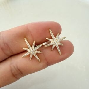 Özel Seri Tasarım Kuzey Yıldızı Küpe