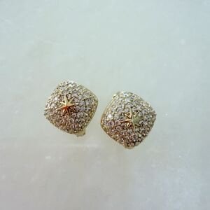 Özel Seri Taşlı Kuzey Yıldızı Motifli Küpe