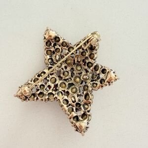 Renkli Taşlı Yeniyıl Yıldız Broş